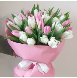 Bukiet Tulipan- Premium od 25 do 100 sztuk