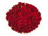 Bukiet 200 czerwonych róż 60 cm