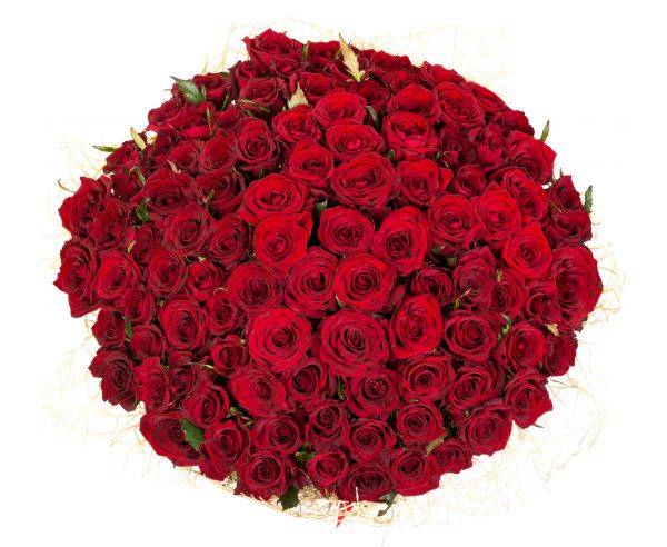 Bukiet 200 czerwonych róż 60 cm
