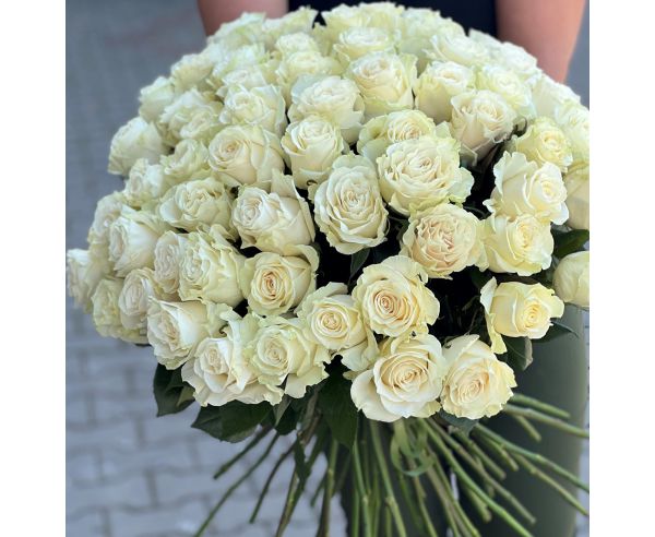 Białe Róże 60 cm - wybierz ilość